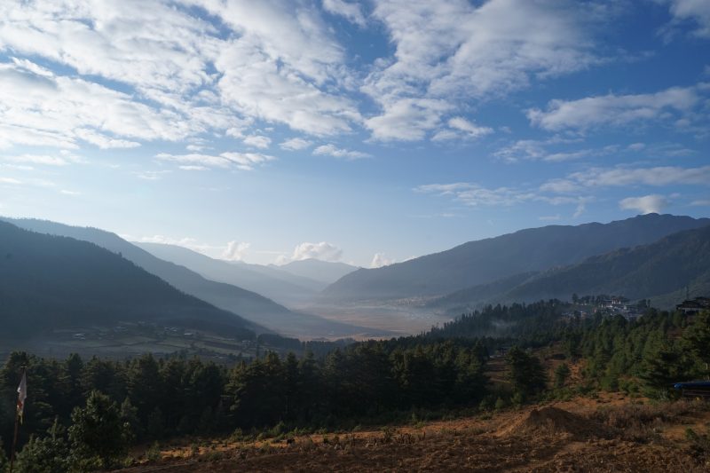 Picture-Perfect Phobjika